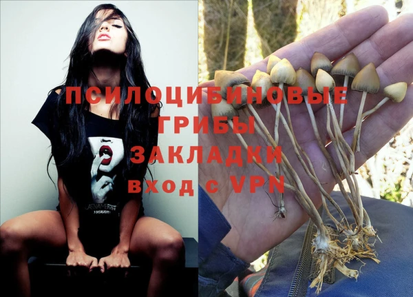 мяу мяу мука Алексеевка
