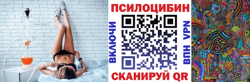 купить наркотик Кириши blacksprut ССЫЛКА Галлюциногенные грибы MAGIC MUSHROOMS