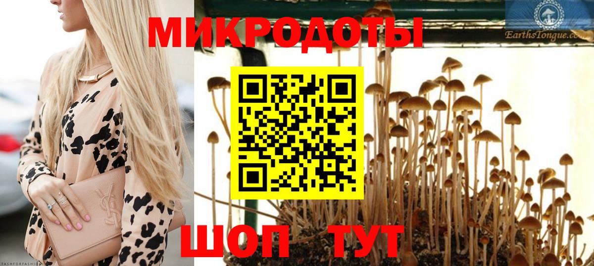 Псилоцибиновые грибы Cubensis  Вход с VPN  Кириши 