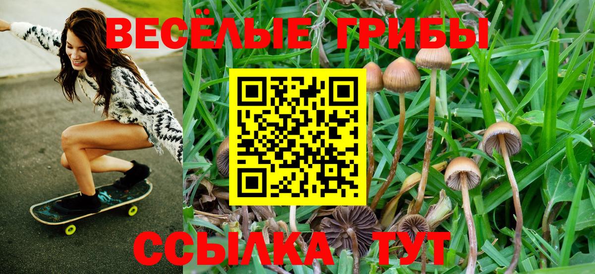 Псилоцибиновые грибы мухоморы Кириши